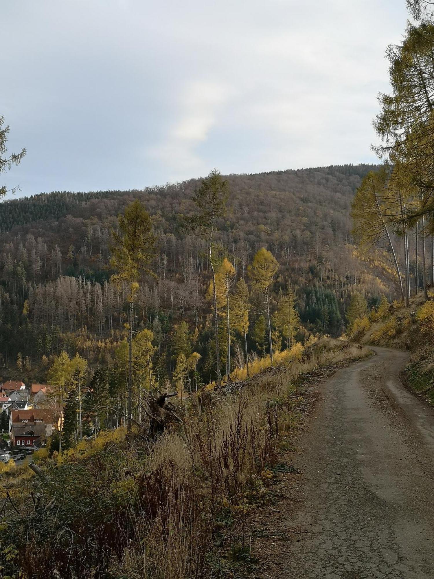 Вилла Haus Riesebeek Лангельсхайм Экстерьер фото